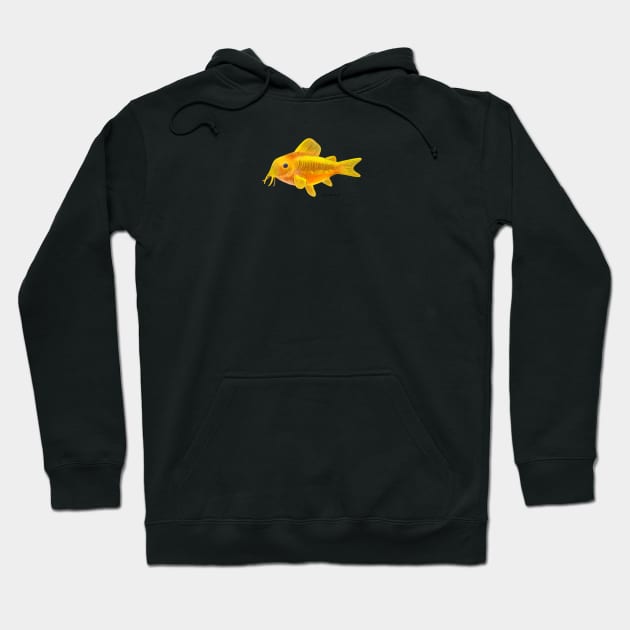 Gold Laser Corydoras Fish Hoodie by julianamotzko